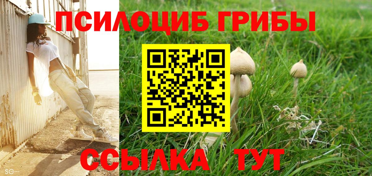 Галлюциногенные грибы GOLDEN TEACHER Елабуга