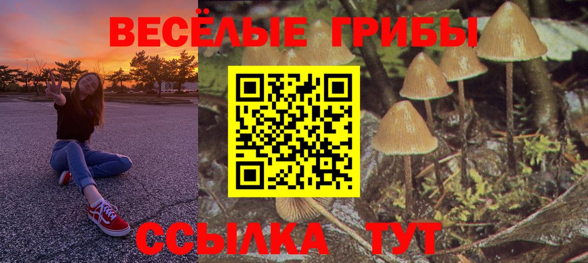 Галлюциногенные грибы мухоморы  Вход с VPN  Елабуга 